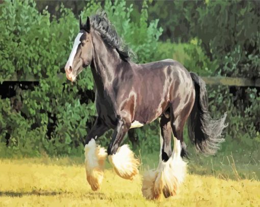 Black Shire Horse paint by numbers