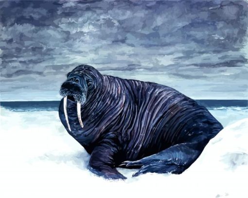 Black Walrus paint by numbers