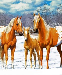 Blonde Appaloosa Horses paint by numbers