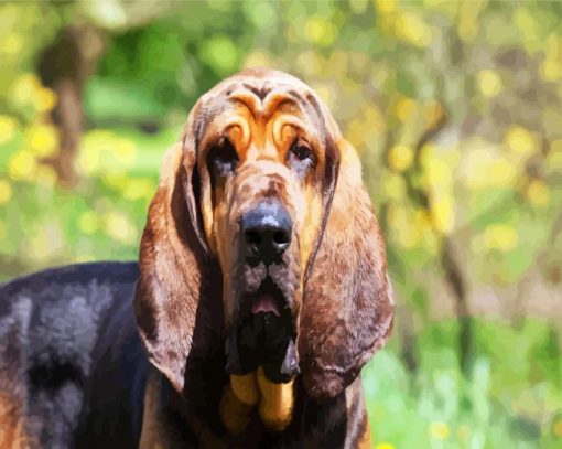 Bloodhound Dog paint by numbers