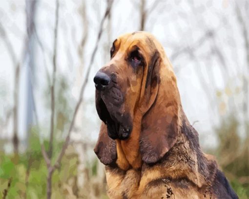 Bloodhound Sleeping paint by number paint by numbers