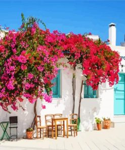 Blooming Bougainvillea Flowers paint by number