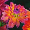 Blooming Dahlia Art paint by numbers