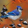 Blue Jay Bird Art paint by number