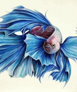 Blue Siamese Fish paint by numbers