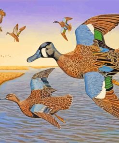 Blue Winged Teal Birds Flying paint by numbers