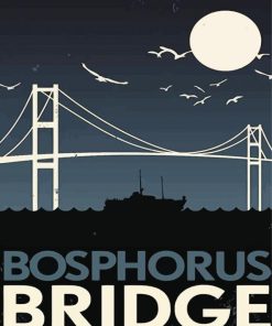 Bosphorus Bridge Poster paint by numbers