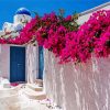 Bougainvillea paint by numbers