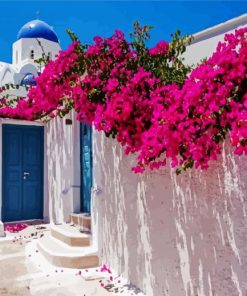 Bougainvillea paint by numbers