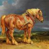 Brown Shire Horse paint by numbers