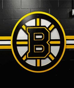 Bruins Ice Hockey Team Logo paint by numbers