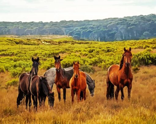 Brumby Horses paint by number