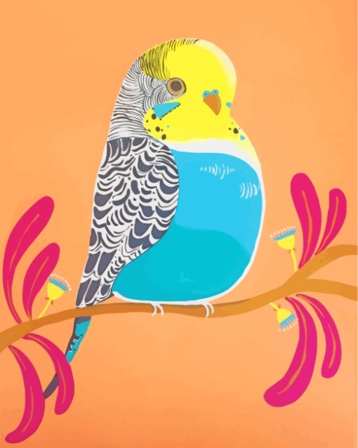 Budgie Bird paint by numbers