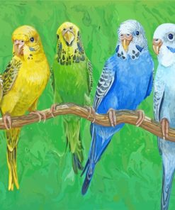 Budgies Birds On Stick paint by numbers