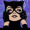 Catwoman paint by number