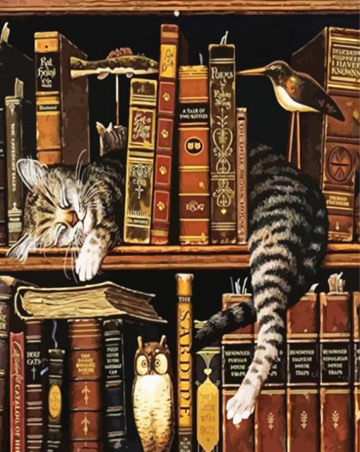 Cat Sleeping In A Bookcase paint by numbers