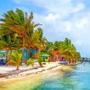 Caye Caulker Belize paint by number