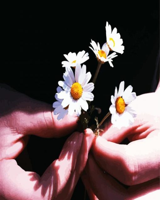 Chamomile Flowers In Hand paint by numbers