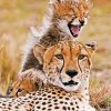 Cheetah And Young Cub paint by number