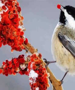 Chickadee Bird Eating paint by numbers