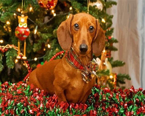 Christmas Dachshund Dog paint by number