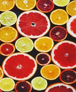 Citrus Fruits paint by numbers