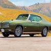 Classic Green Gto paint by number