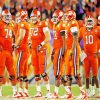 Clemson Tigers Football Team paint by number