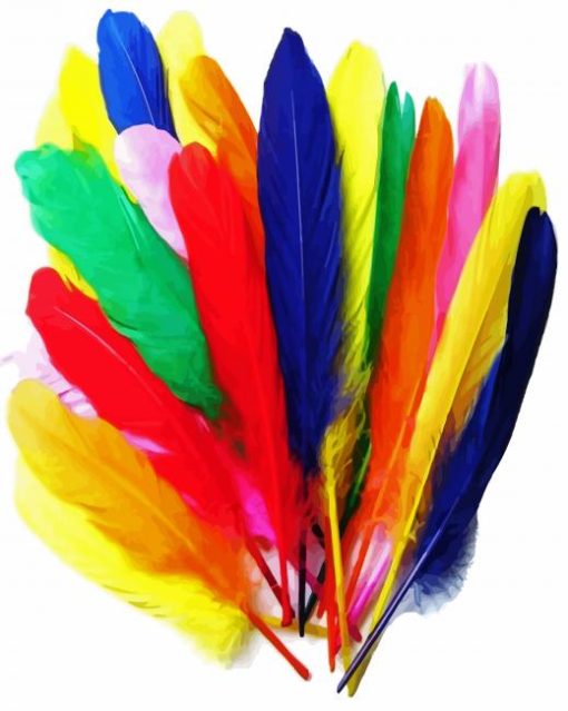 Colorful Bird Feathers paint by number