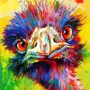 Colourful Emu Head paint by numbers