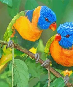 Colorful Lorikeet Birds paint by numbers