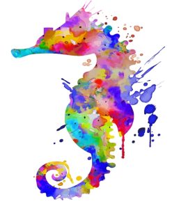 Colorful Splatter Seahorse paint by numbers