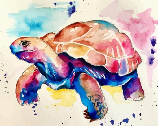 Colorful Tortoise paint by number