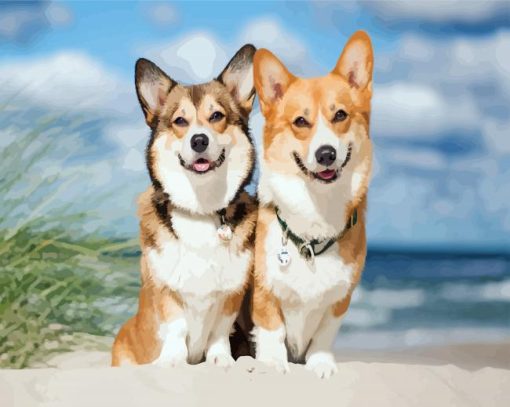 Corgis Puppies Animals paint by number