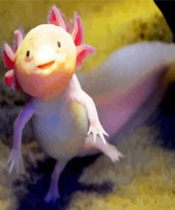 Cute Axolotl Amphibian Animal paint by numbers