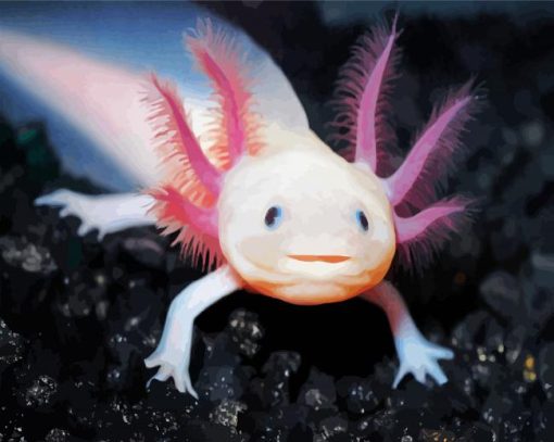 Cute Axolotl paint by numbers