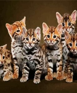 Cute Bengal Kitties paint by number