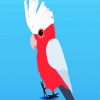 Cute Galah Bird paint by number