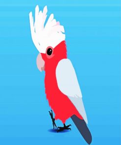 Cute Galah Bird paint by number