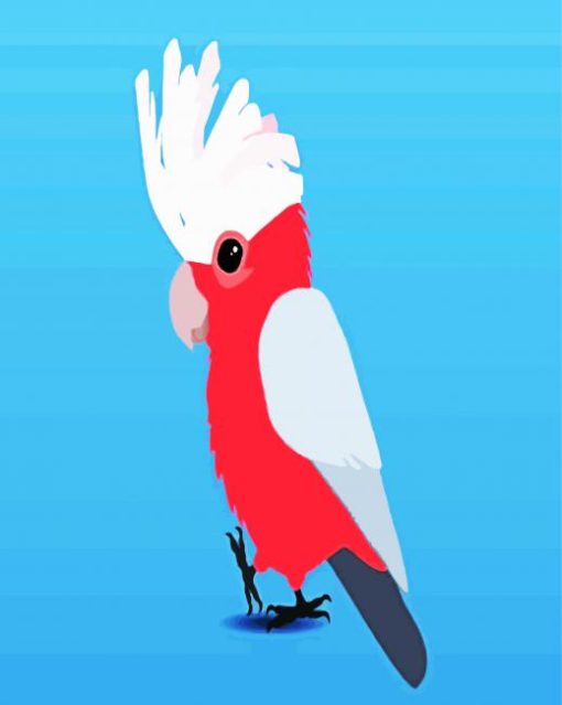 Cute Galah Bird paint by number