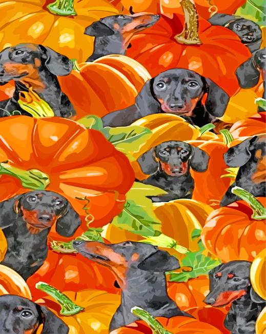 Dachshund And Pumpkin paint by numbers