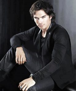 Damon Salvatore Vampire Diaries paint by number