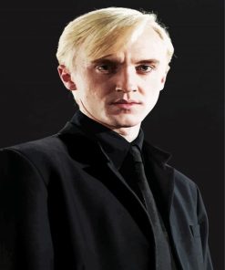 Draco Malfoy paint by numbers