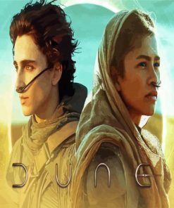 Dune Tomothe Chalamet And Zendaya paint by numbers