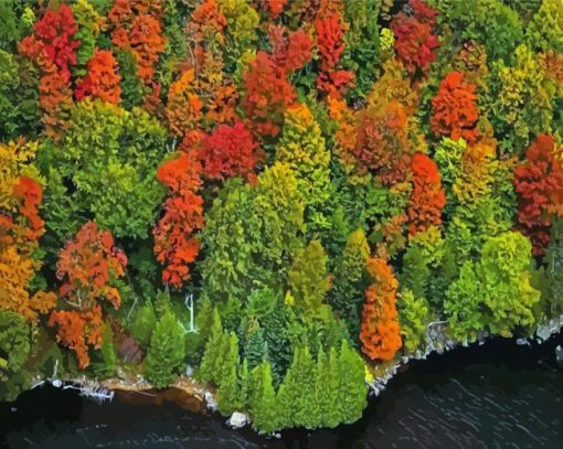 England Fall Foliage paint by numbers