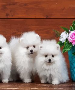 Eskimo Puppies paint by number