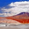 Flamingos Lake In Bolivia paint by number