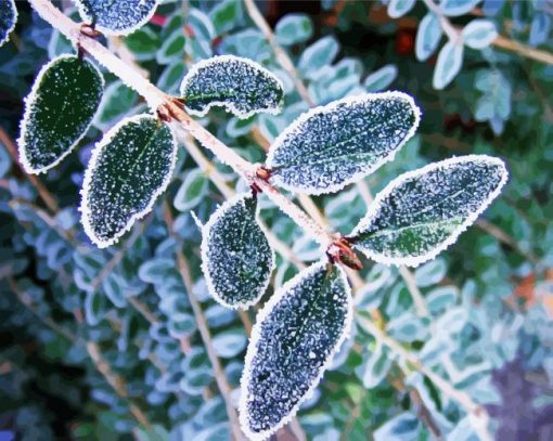 Frost On Leaves paint by number