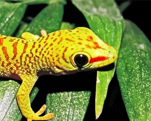 Gecko Reptile paint by number