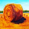 Golden Bay Bales Art paint by numbers